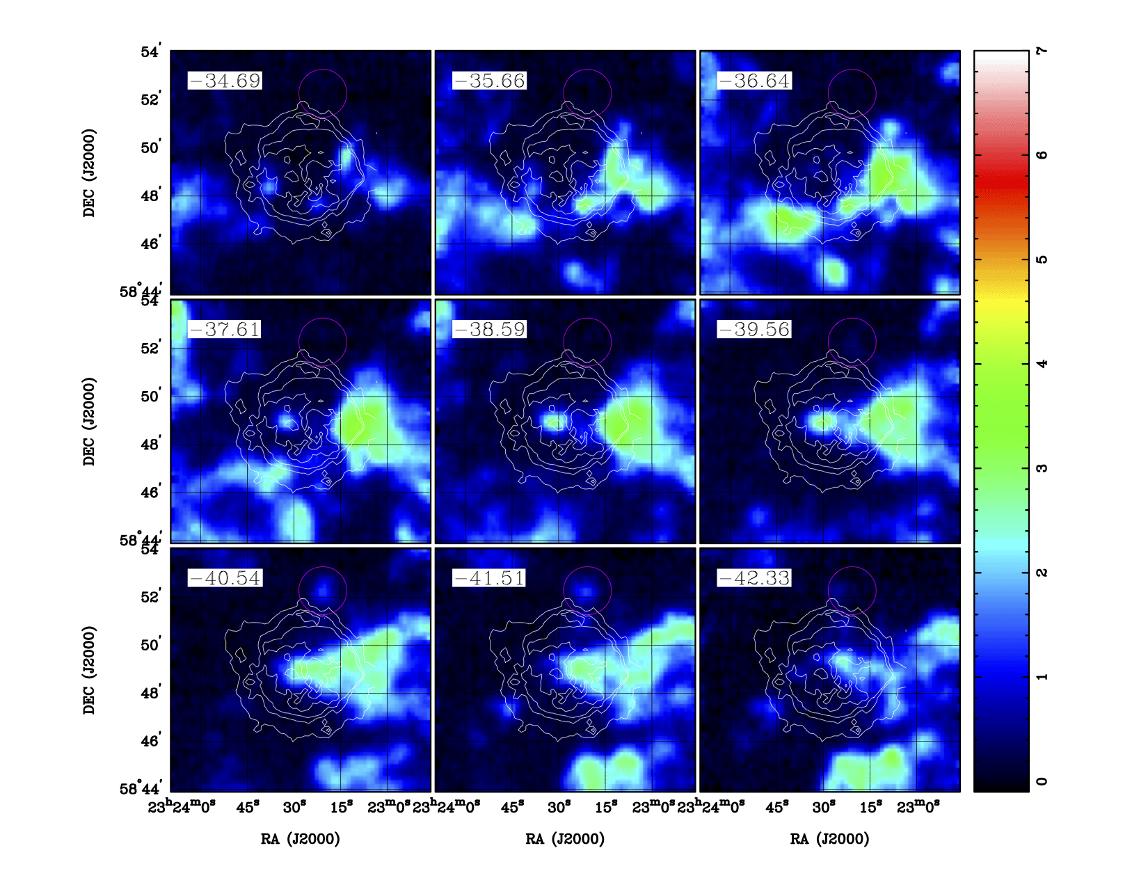 The Cassiopeia A supernova remnant in 12CO J=2-1